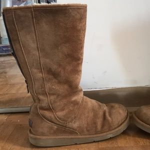 Tall Chestnut Uggs